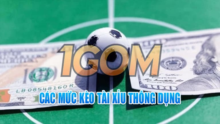 kèo tài xỉu (over/under) 1 mức cược kèo Tài Xỉu