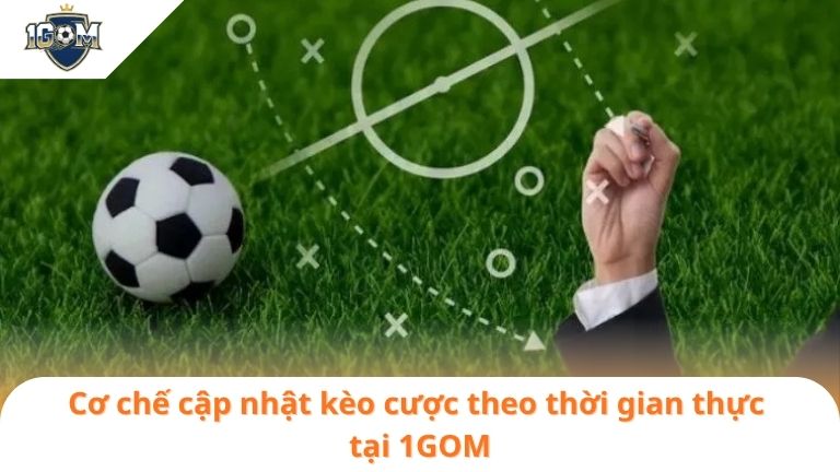 Kèo nhà cái kèo nhà cái 5 - Tỷ lệ kèo - Tỷ lệ kèo nhà cái News 4 co che cap nhat keo cuoc theo thoi gian thuc tai 1gom