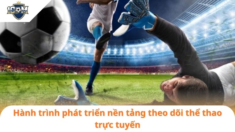 Tác Giả Ceo Hồng Quân 3 Hành trình phát triển nền tảng theo dõi thể thao trực tuyến